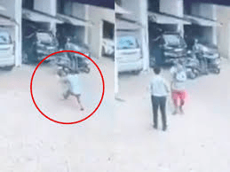 13वीं मंजिल से गिरी 2 साल की बच्ची, राहगीर की सतर्कता ने बचाई जान; वायरल वीडियो में दिखा चमत्कार! “ • ˌ 13वीं मंजिल से गिरी 2 साल की बच्ची, राहगीर की सतर्कता ने बचाई जान; वायरल वीडियो में दिखा चमत्कार! “ • ˌ