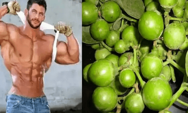 मांस से 10 गुना ज्यादा ताकतवर है ये फल, 1 महीने में बना देता पहलवान !! “ • ˌ मांस से 10 गुना ज्यादा ताकतवर है ये फल, 1 महीने में बना देता पहलवान !! “ • ˌ