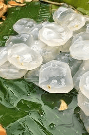 लिवर की सफाई से वजन घटाने तक – ये जादुई फल बना देगा फैटी लिवर की बीमारी को छू-मंतर!! “ • ˌ लिवर की सफाई से वजन घटाने तक – ये जादुई फल बना देगा फैटी लिवर की बीमारी को छू-मंतर!! “ • ˌ