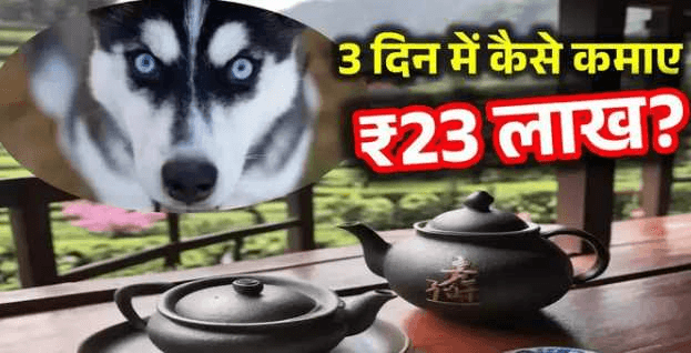 इंटरनेट सेंसेशन बना ‘डिलीवरी डॉग’! इस हस्की ने 3 दिन में कमाए 23 लाख रुपये – जानिए इसकी अनोखी कहानी!! “ • ˌ इंटरनेट सेंसेशन बना ‘डिलीवरी डॉग’! इस हस्की ने 3 दिन में कमाए 23 लाख रुपये – जानिए इसकी अनोखी कहानी!! “ • ˌ