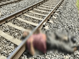 CG News : काम से लौट रहे मजदूर की ट्रेन से कटकर मौत, शव पर से गुजरती रहीं ट्रेनें, हत्या या आत्महत्या? जांच के बाद होगा खुलासा CG News : काम से लौट रहे मजदूर की ट्रेन से कटकर मौत, शव पर से गुजरती रहीं ट्रेनें, हत्या या आत्महत्या? जांच के बाद होगा खुलासा