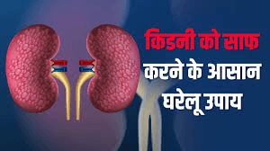 किडनी शुद्ध करने का उपाय! इन आसान नुस्खों से आपकी किडनी फिर से काम करेगी दोगुनी तेजी से! ˌ • किडनी शुद्ध करने का उपाय! इन आसान नुस्खों से आपकी किडनी फिर से काम करेगी दोगुनी तेजी से! ˌ •