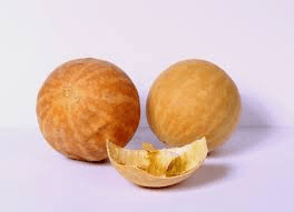 इन्द्रायण निश्चित रुप से गंजो के बाल उगा देगा, इससे पेट की चर्बी, बवासीर, बहरापन, पेट के कीड़ों आदि 60 बड़े रोगों में होते है अद्भुत फायदे इन्द्रायण निश्चित रुप से गंजो के बाल उगा देगा, इससे पेट की चर्बी, बवासीर, बहरापन, पेट के कीड़ों आदि 60 बड़े रोगों में होते है अद्भुत फायदे