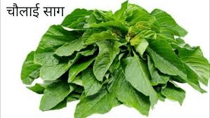चौलाई के फायदे चौलाई के फायदे