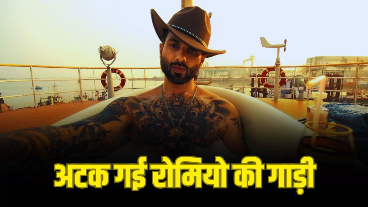 O’ Romeo BO Collection: शाहिद-तृप्ति की फिल्म पर भारी पड़ी टीम इंडिया की जीत, तीसरे दिन इतनी हुई ओ रोमियो की कमाई